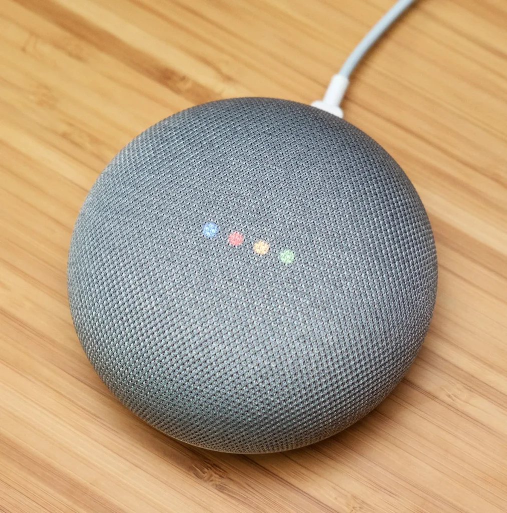 Google Home Mini + Matter Devices