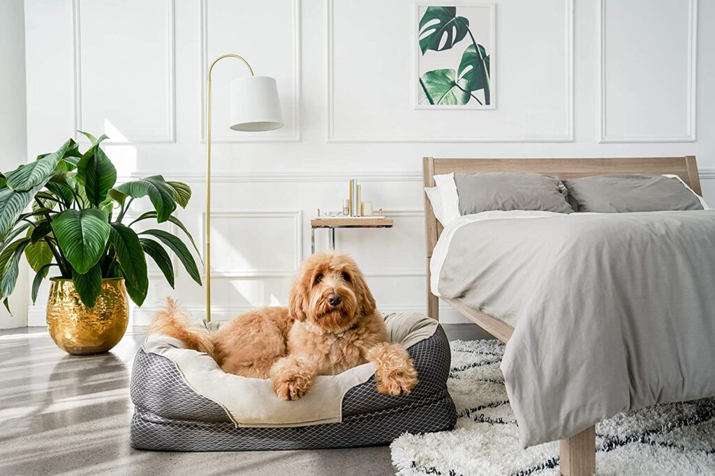 BarksBar Orthopedic Dog Bed