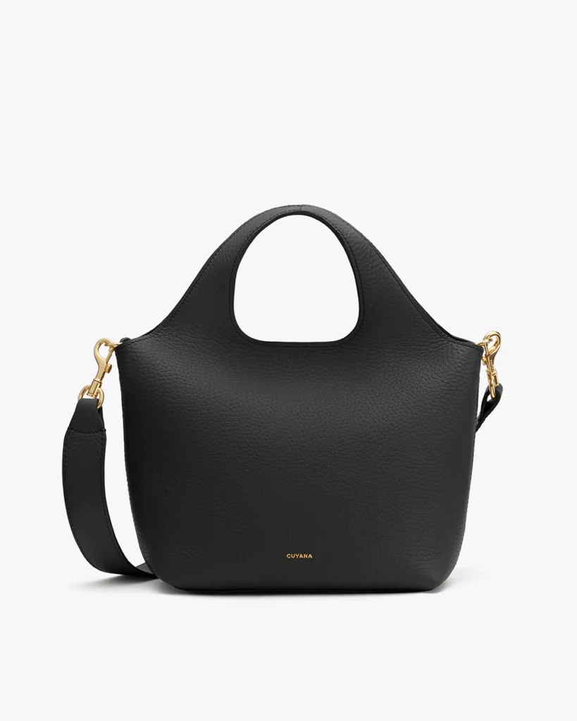 Cuyana Mini Structured Tote