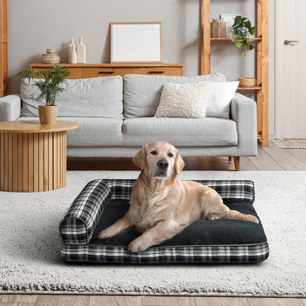 Kirkland Signature Orthopedic Dog Bed (Costco)