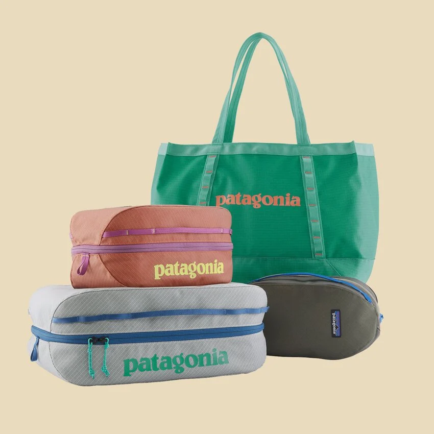 Patagonia Black Hole Tote