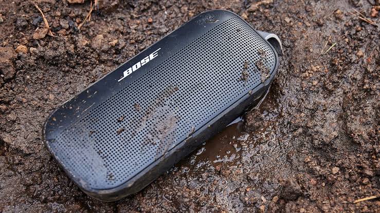Bose SoundLink Flex